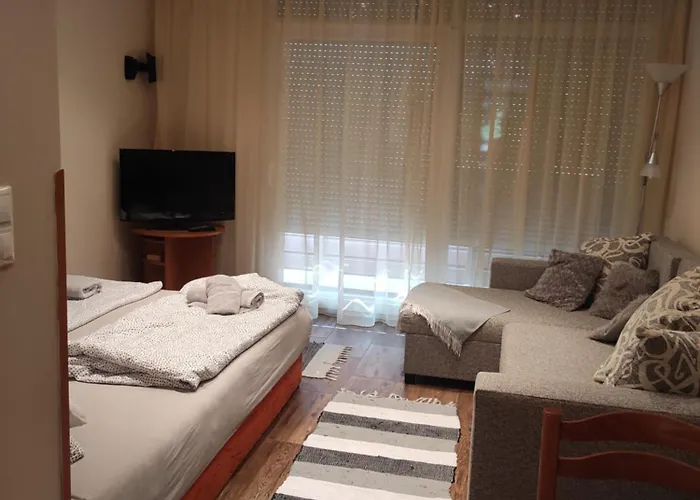 Dora Apartman2 Daire Balatonfüred